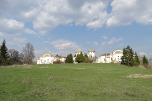 Дворец в Вишенках